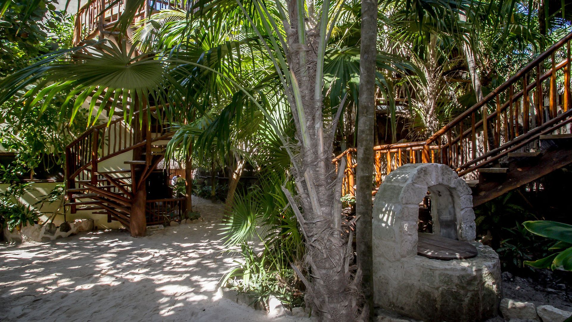 Hotel Playa Canek Beachfront Eco 4*