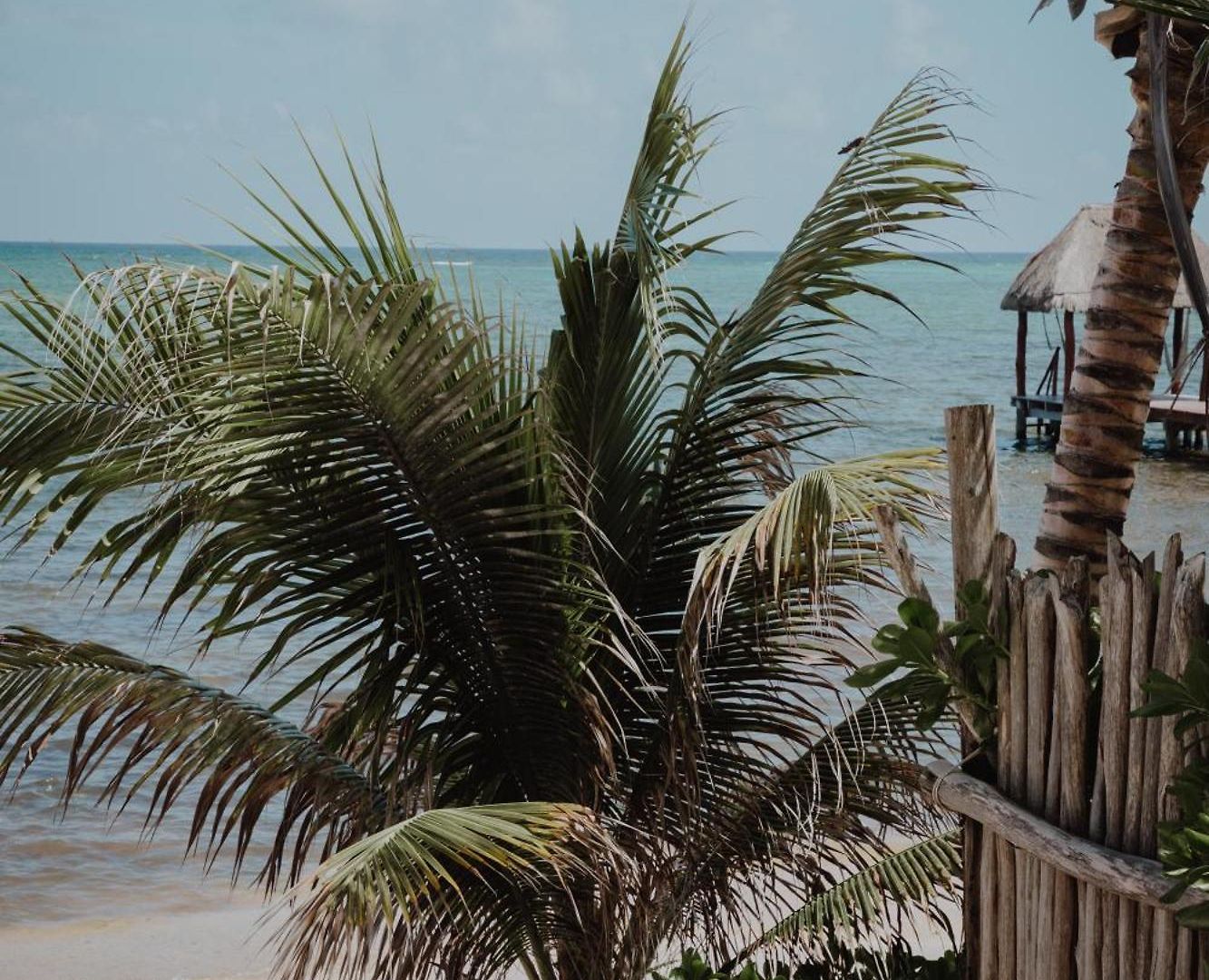Cielo Maya Hotel Tulum
