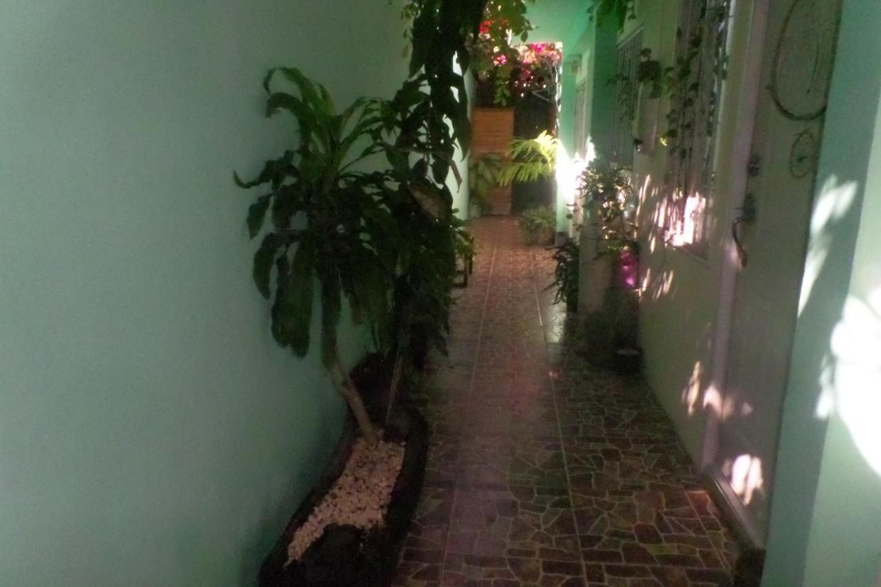 The Hobbit Jungle A Bike Included Guest house
