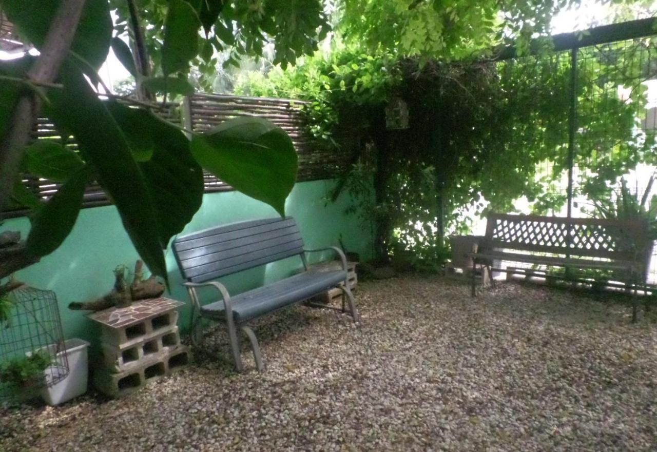 Guest house The Hobbit Jungle A Bike Included *