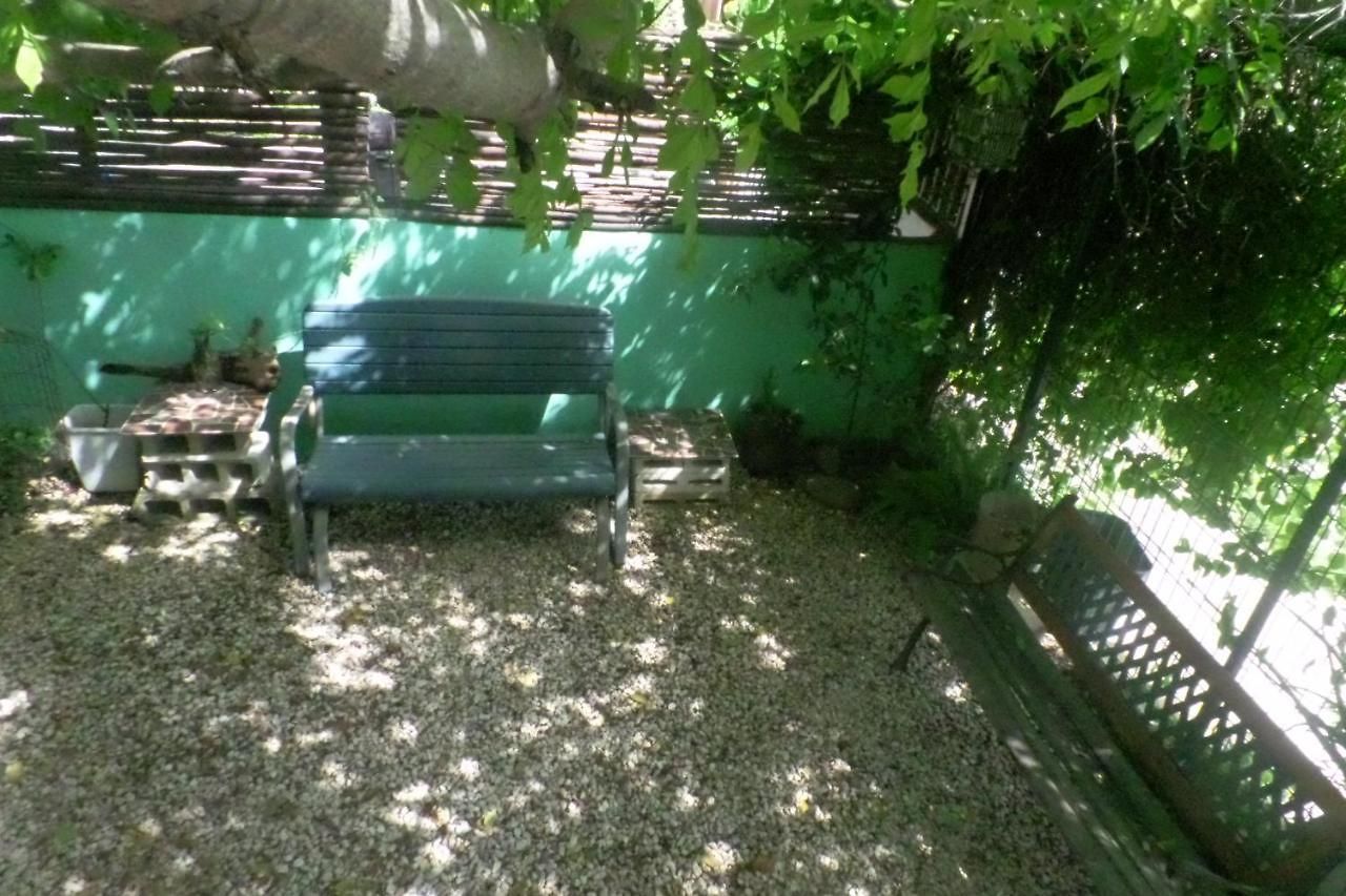 The Hobbit Jungle A Bike Included Guest house
