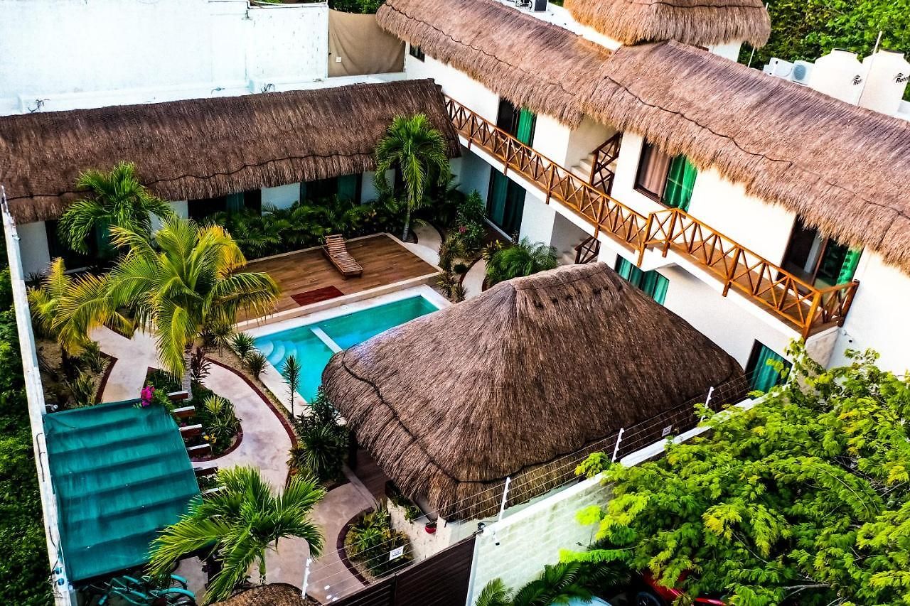 Aparthotel Alemaya Apart Amazing & Ecological Couple Jungle Retreat