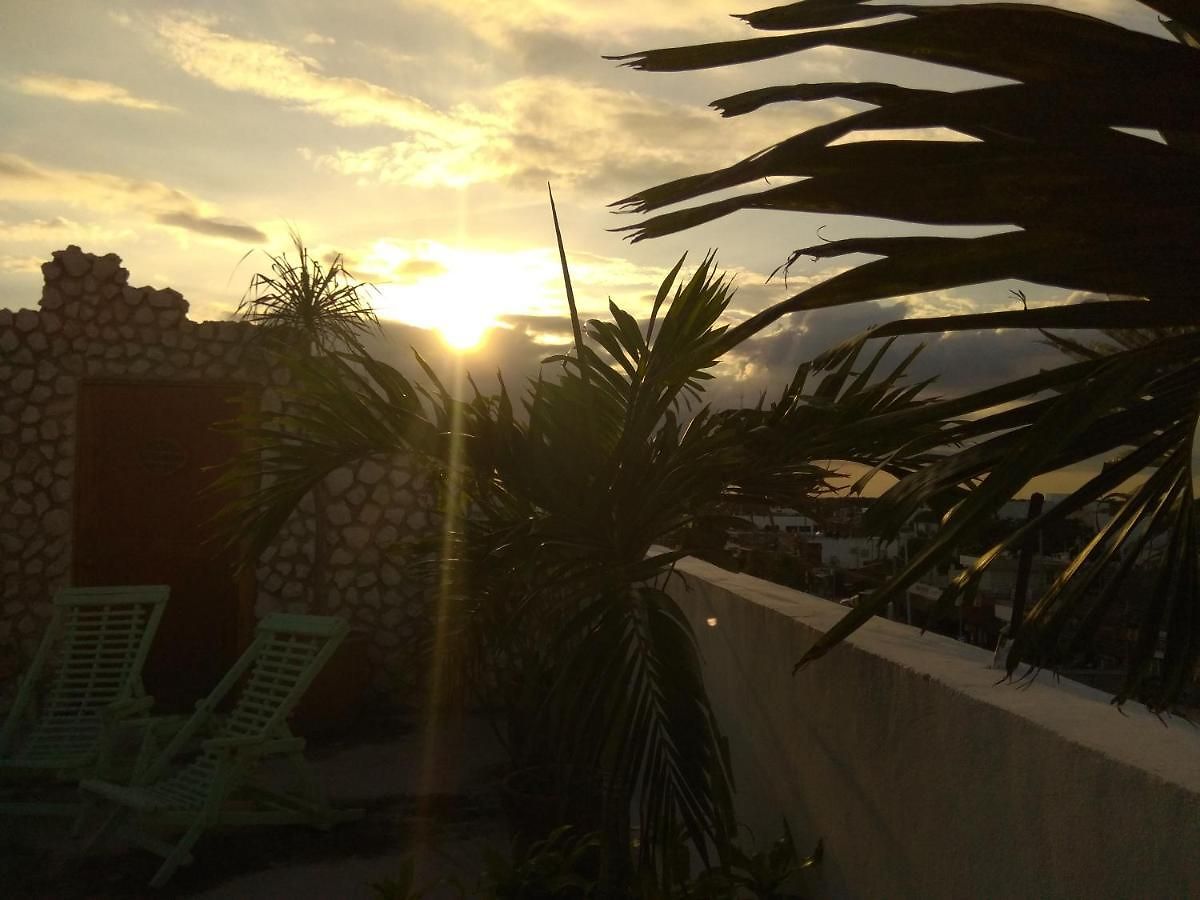 La Palmita By Mij