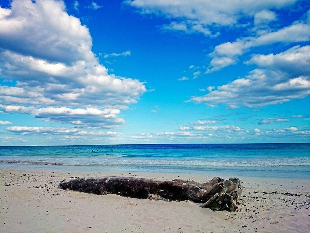 Alaya Beachfront Hotel 4*