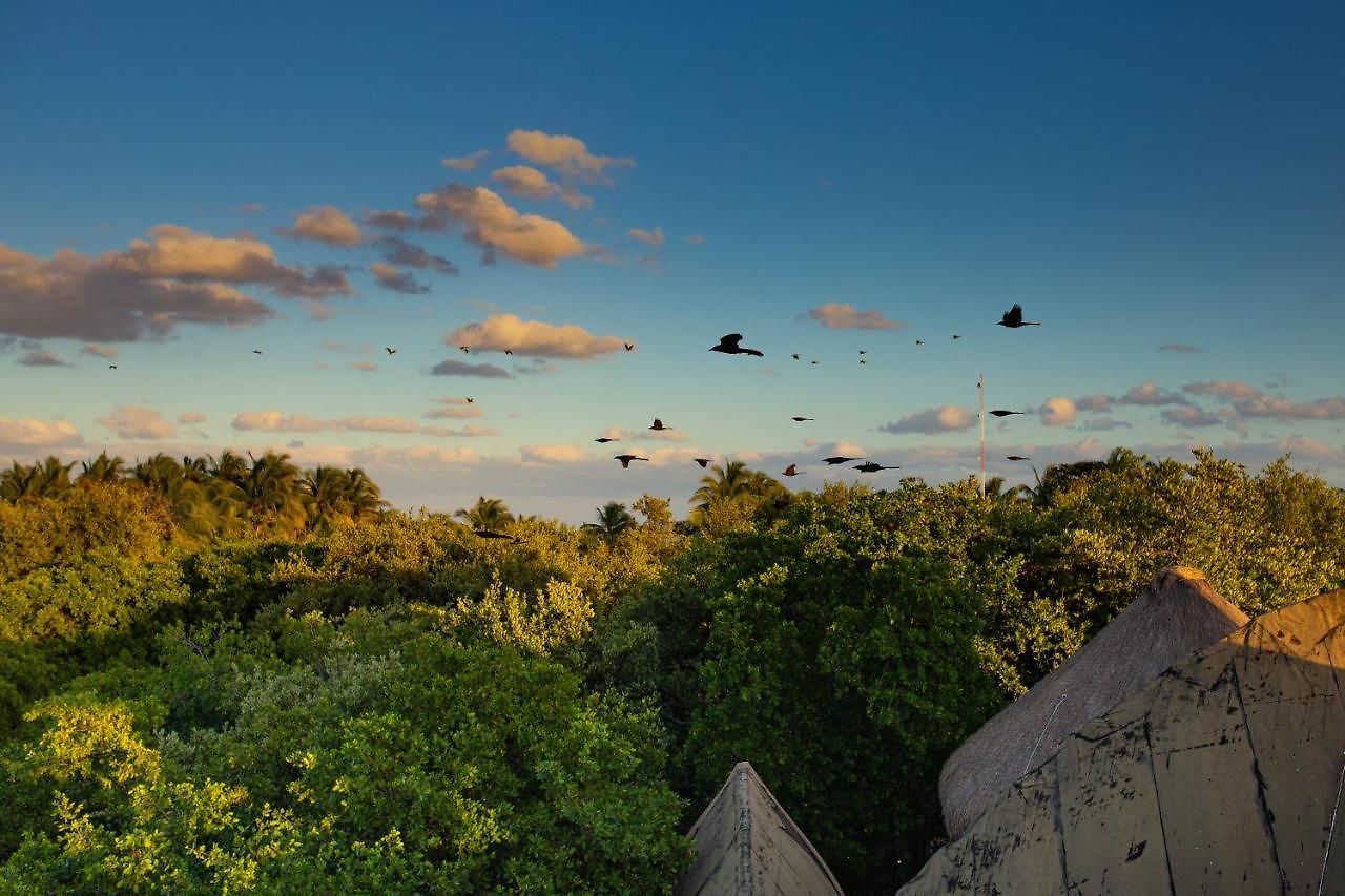 Mamasan Treehouses &