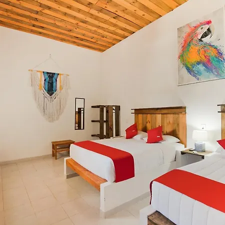 Oyo Jarro Cafe Hotel