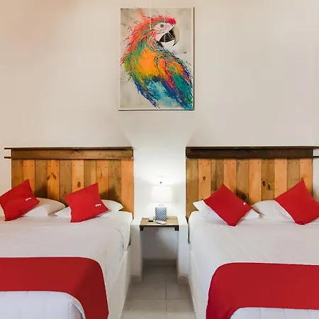 Oyo Jarro Cafe Tulum