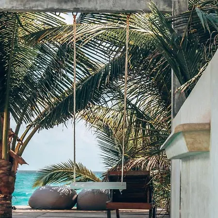 Hotel Lamar Front And Pool