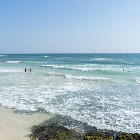 Hotel La Conchita (adults Only) Tulum