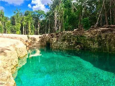 Saasil Tulum