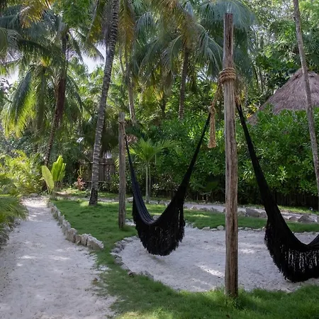 Nest 4* Tulum