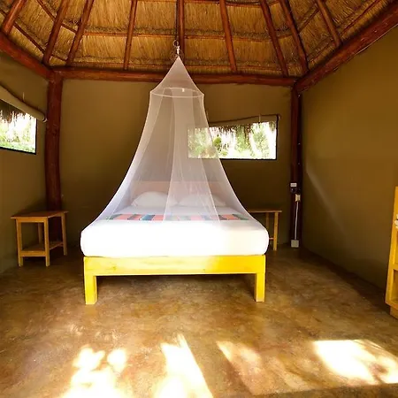 Joy Adults Only Tulum