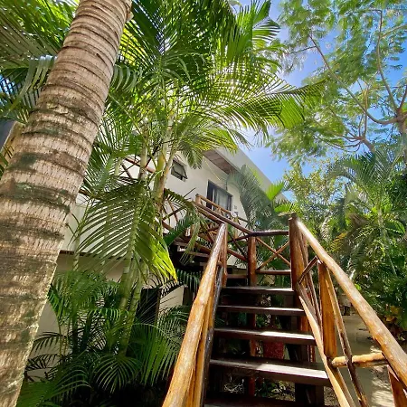 Hotel Pacha Boutique 4*