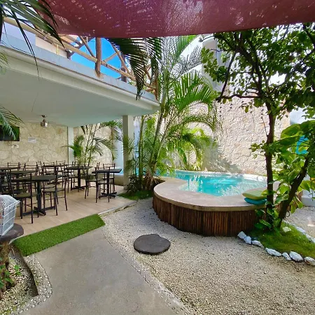 Pacha Boutique 4*