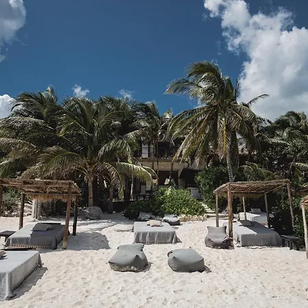 Nest Hotel 4*