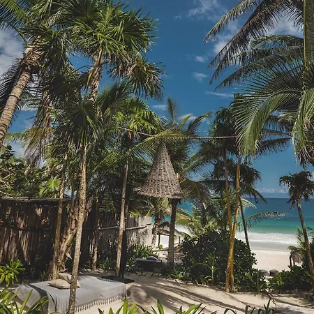 Nest Tulum