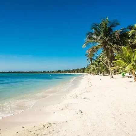Privada Soliman Bay Pets Welcome!