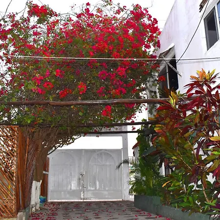 Lobo Bed and breakfast