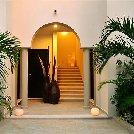 Palms *