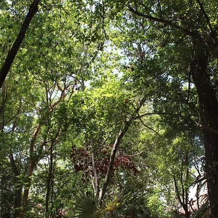 Casita Kuxtal Lodge *