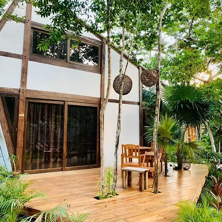 Nahouse Jungle Lodge