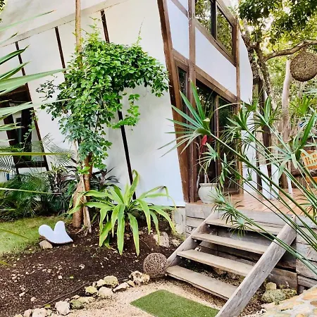 Lodge Nahouse Jungle Tulum