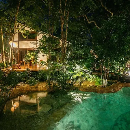 Nahouse Jungle Lodge *