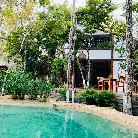 Nahouse Jungle *