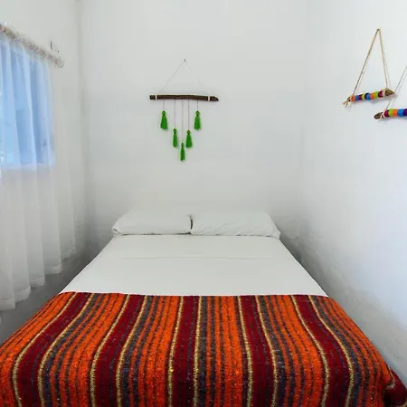 Lobo Tulum