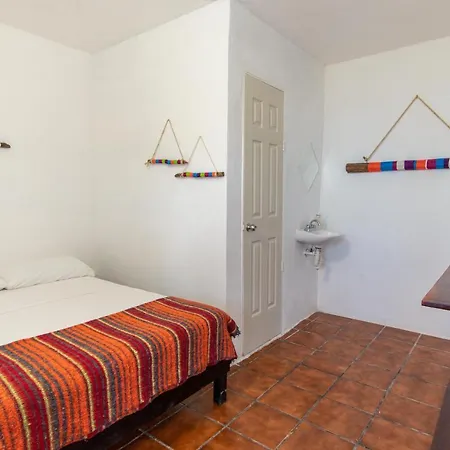 Lobo Tulum