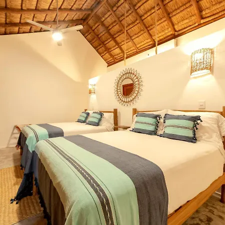 Mimosa Tulum