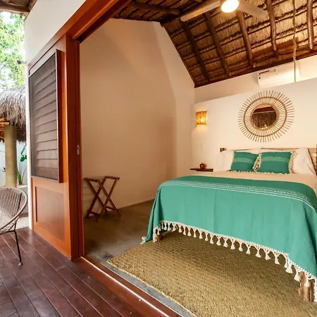 Mimosa Tulum