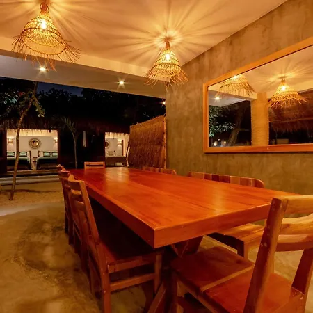 Hostel Mimosa *