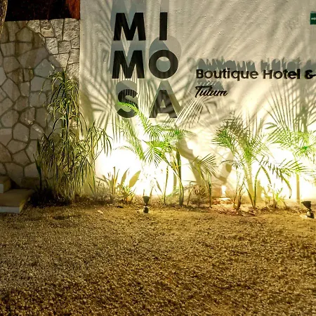 Hostel Mimosa Tulum