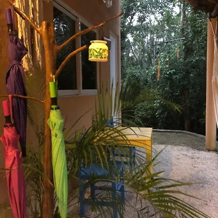 Bed & Breakfast Casa Tzalam Selva 4*