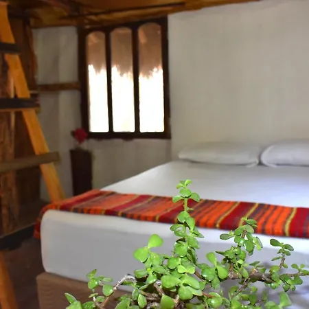 Lobo Bed and breakfast