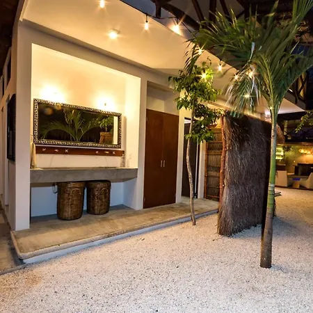 Mimosa Tulum