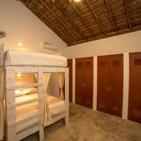 Hostel Mimosa *