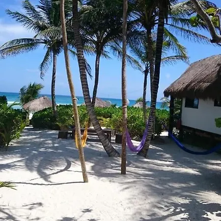 Playa Selva Lodge