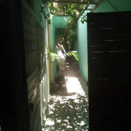 The Hobbit Jungle A Bike Included * Tulum