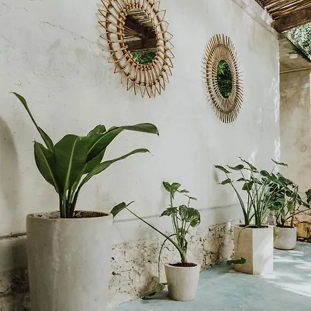 Casa Chimi Hotel *