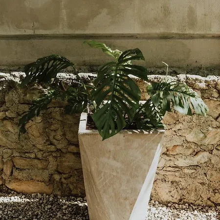 Hotel Casa Chimi Tulum