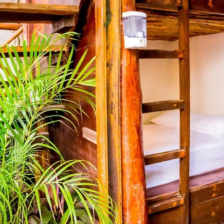 Hotel Oostel Smart - Playa 2*