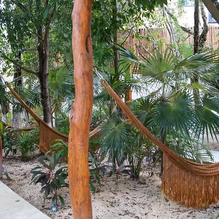 Unique Cottage In The Heart Of Tulum Town