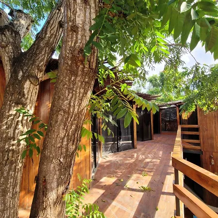 Malakai * Tulum