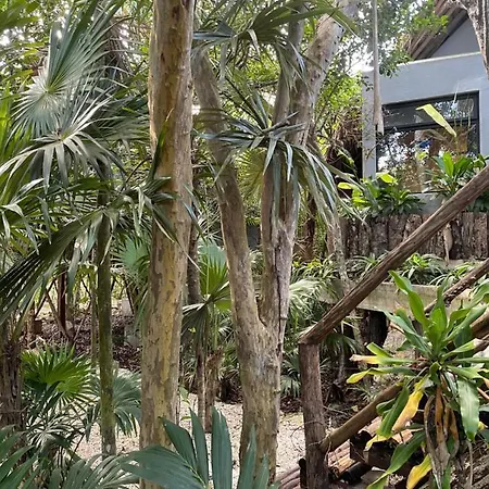 Roc Jungle Tulum