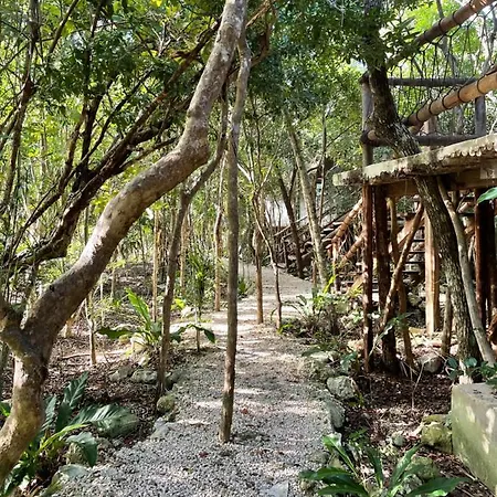 Roc Jungle 4* Tulum