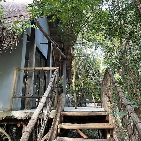 Roc Jungle Hotel Tulum