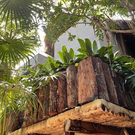 Roc Jungle