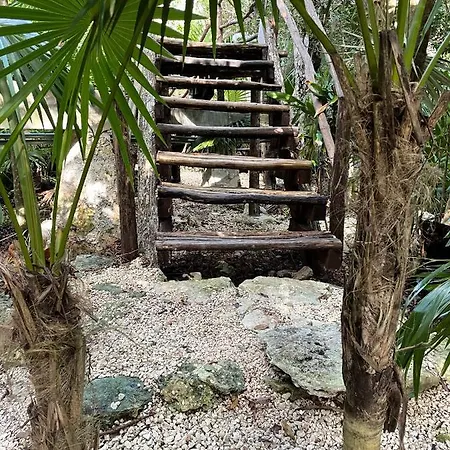 Roc Jungle Tulum